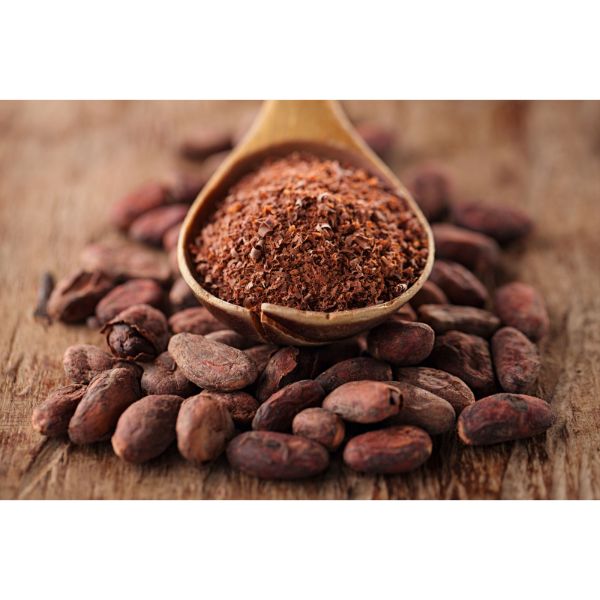 Cacao beans Wholesale Rate / Cocoa bean from Vietnam at competitive price