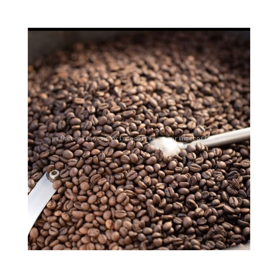 Viretnam Best Quality Arabica Coffee Roasted Beans Vietnam PREMIUM Roasted Coffee Beans Blend