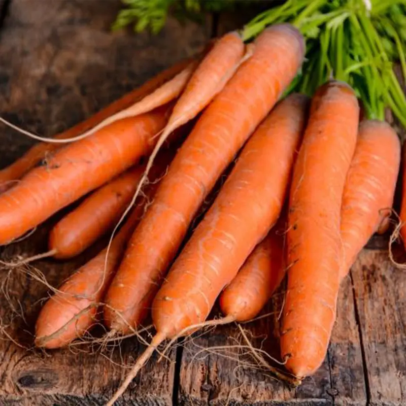 Fresh Carrot  / High Quality / Best Price Whatsapp:+84-845-639-639