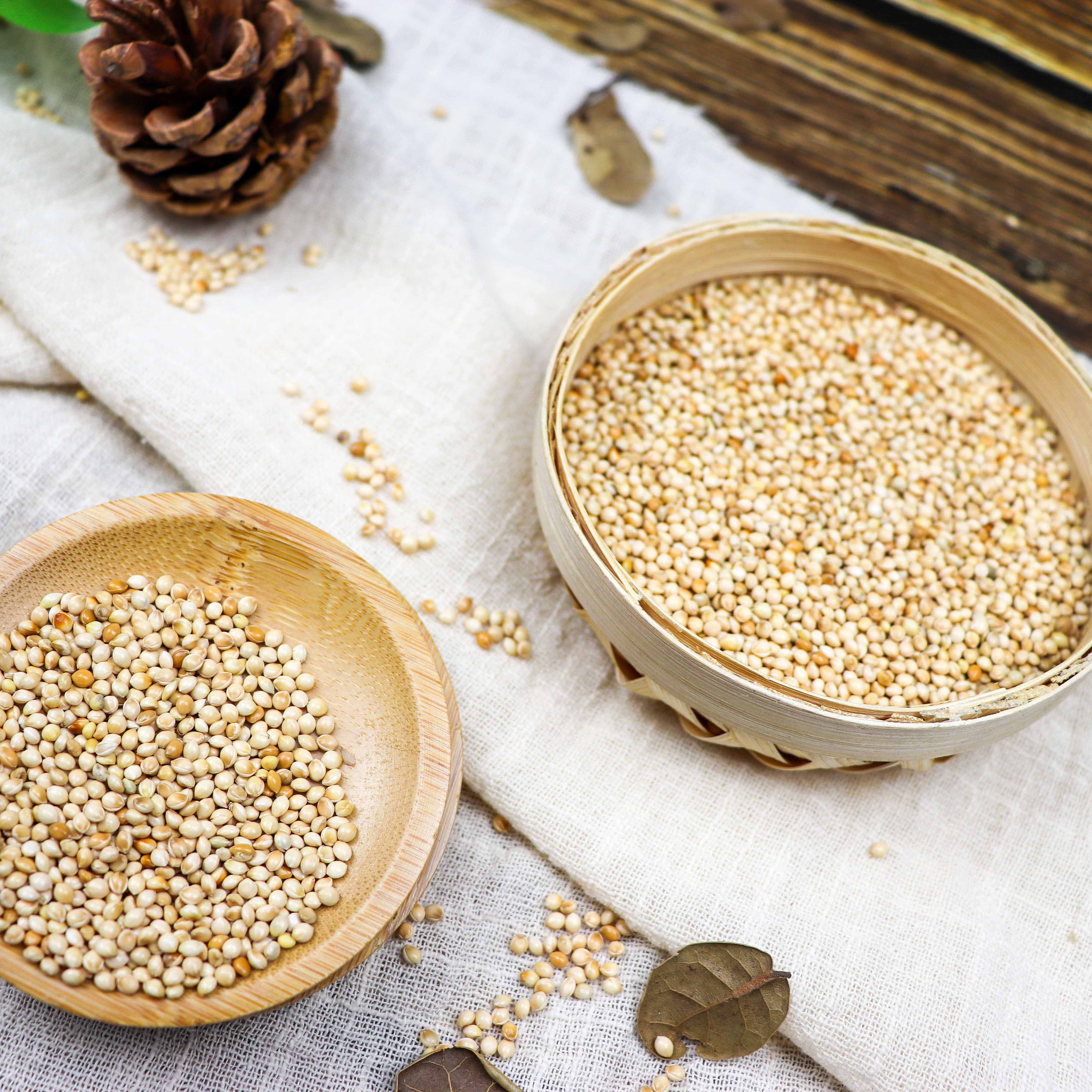 Cheap Dried Organic Millet wholesale price