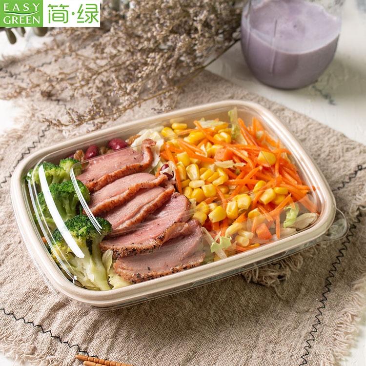 Easy Green Disposable Biodegradable Take Away Bento Fast Food Container