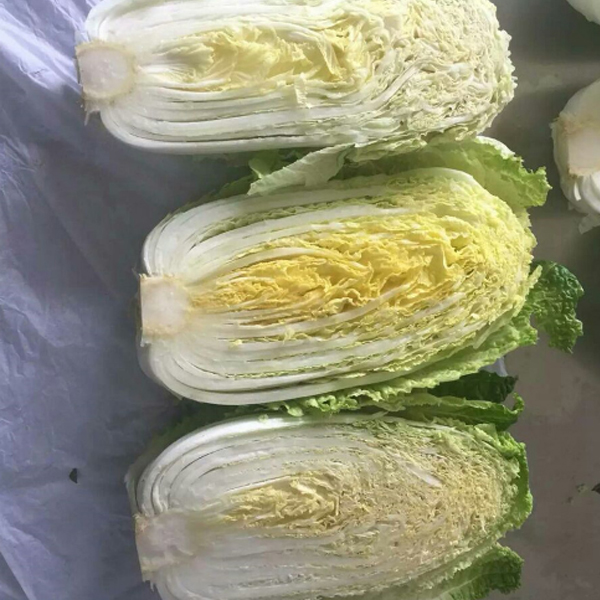 Китайская Свежая вкусная Зеленая капуста