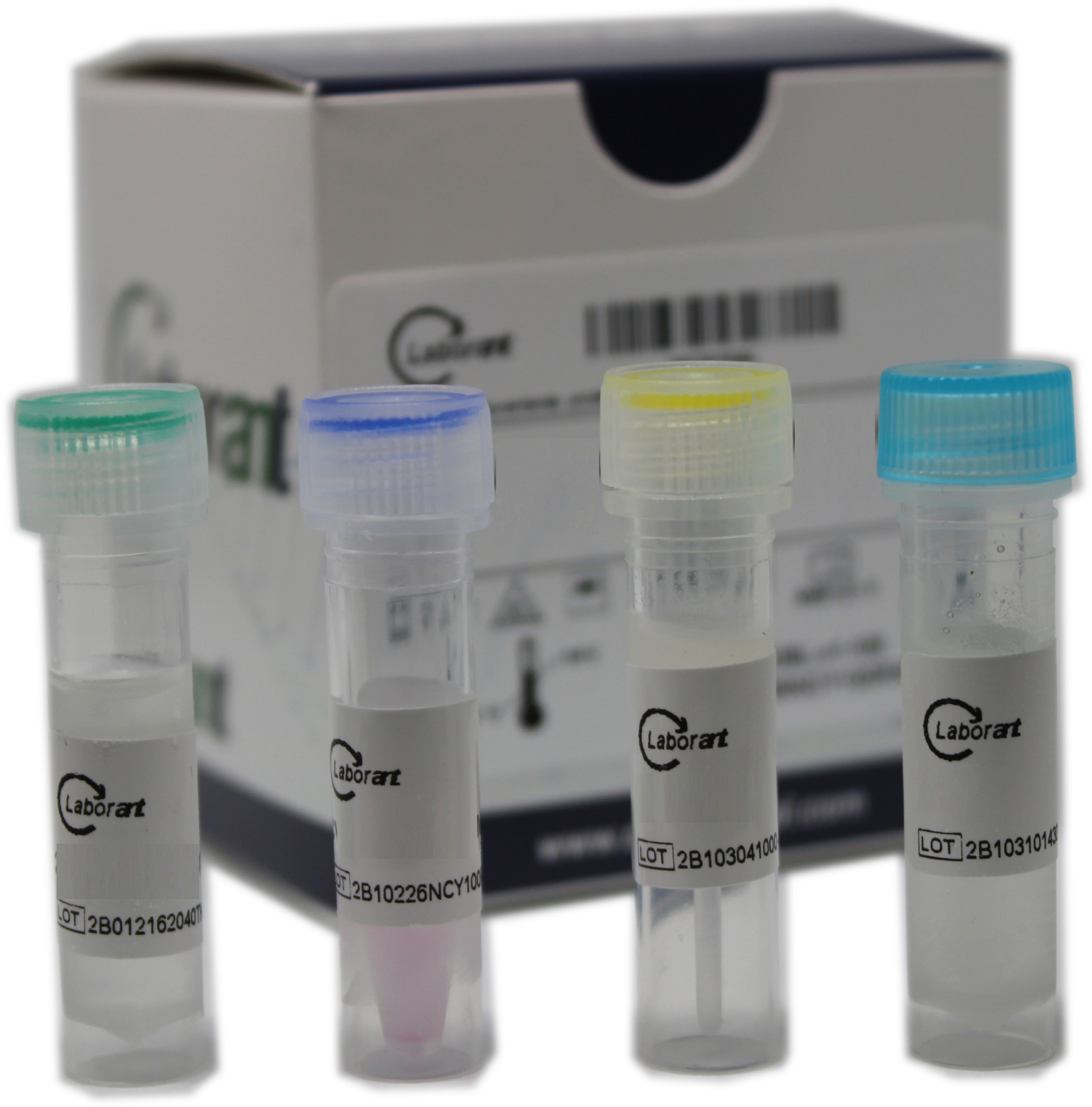 Pcr Test Kit Diagnostic