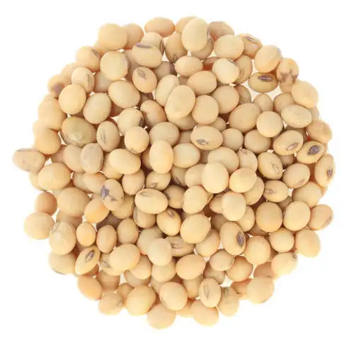 High Quality Premium Natural and Non- GMO Yellow Soya Beans