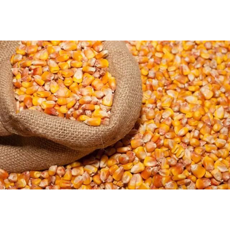 CORN