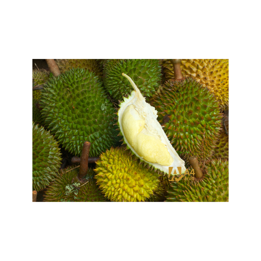 Fresh Durians