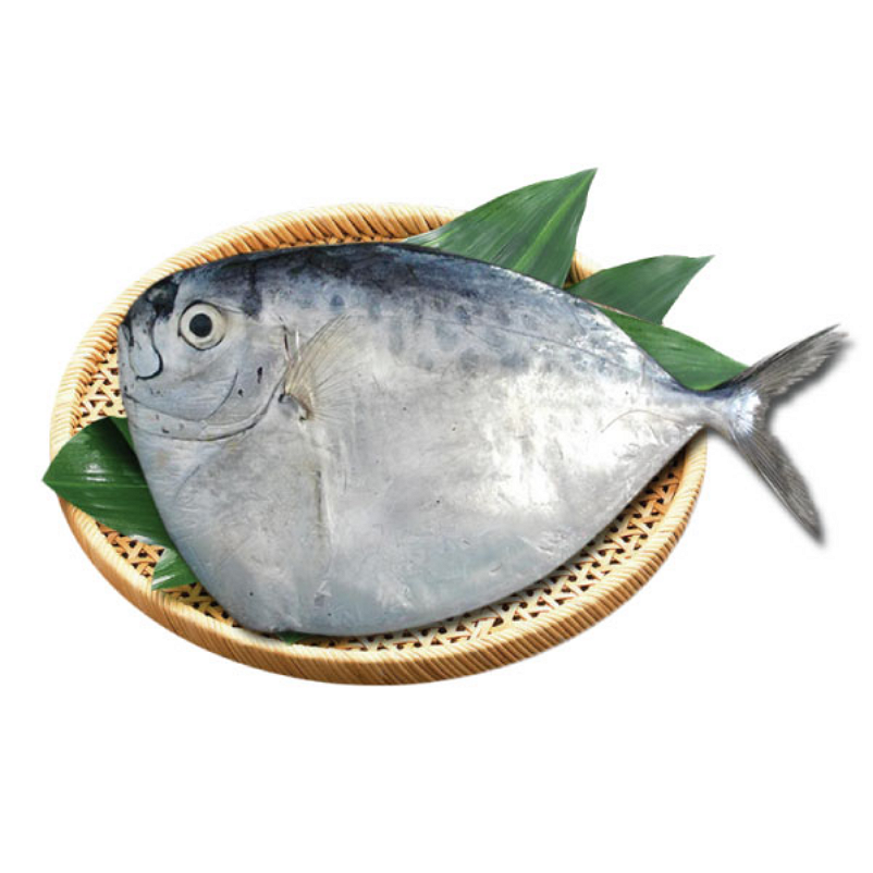 Vietnam seafood moonfish frozen fish