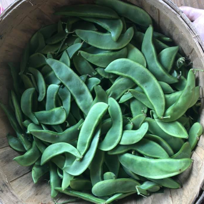 LIMA BEANS
