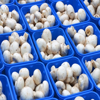 Fresh Frozen Mushroom