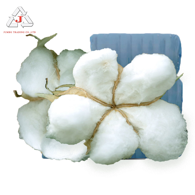 100% Organic Cotton Soft Fluffy Staple Fiber Pure Cotton Agricultural Product Fabric Raw Material for Sale