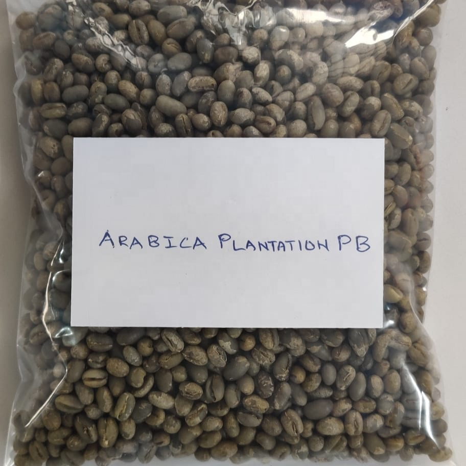 Арабика плантация PB зеленые кофейные зерна