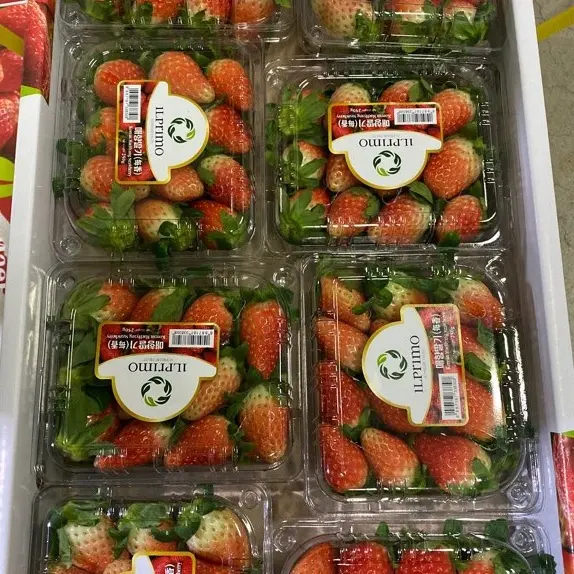 High Sweet Fresh Natural Maehyang Strawberries with Rich Vitamin C Produced in Korea