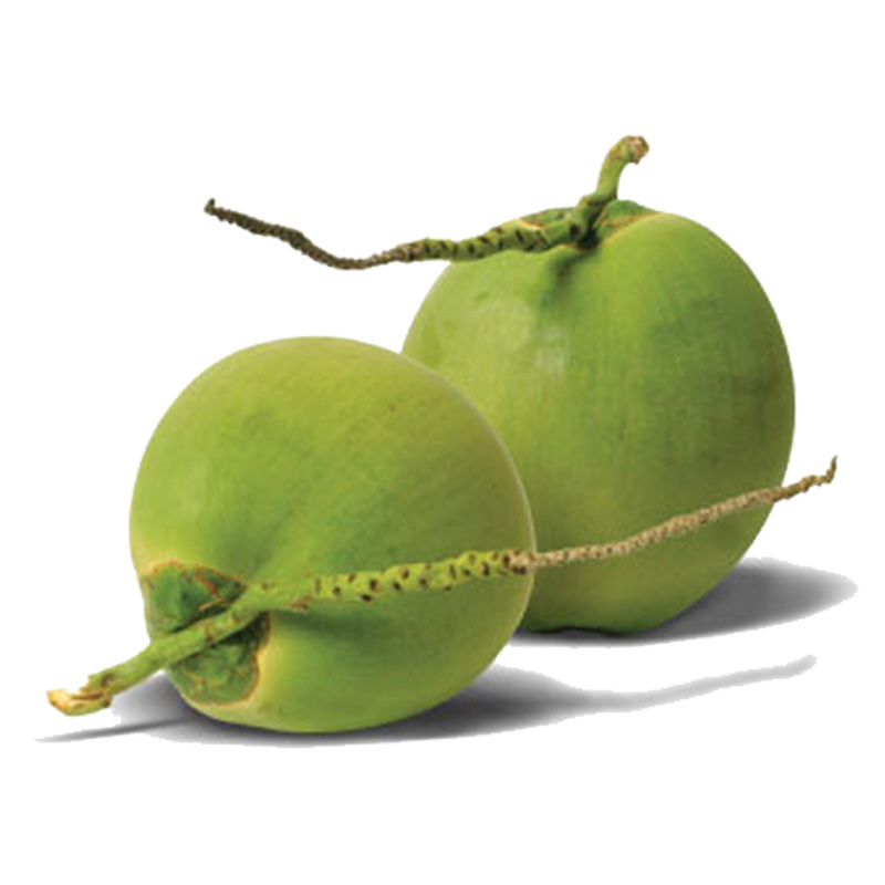 Fresh Young Coconuts 100% Natural Organic High Quality Grade