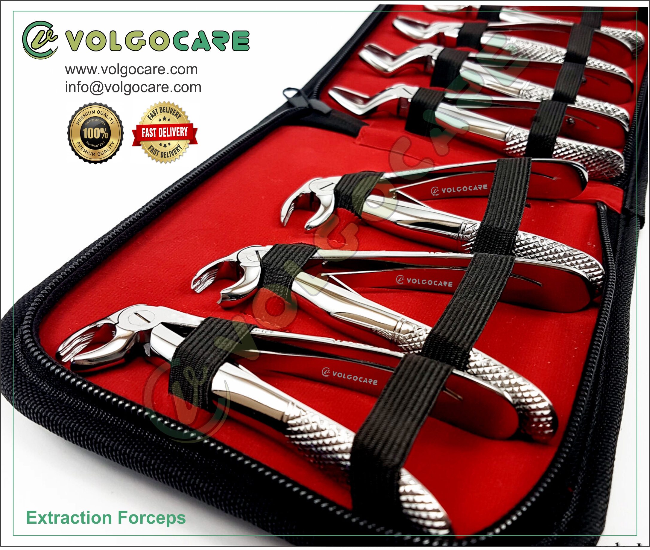 Best Quality Stainless Steel Dental Forceps Children's Tooth Extraction Forceps Pliers Kit Pedo Set