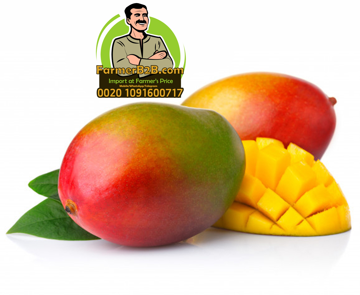 Высококачественный Свежий манго Alphonso для продажи