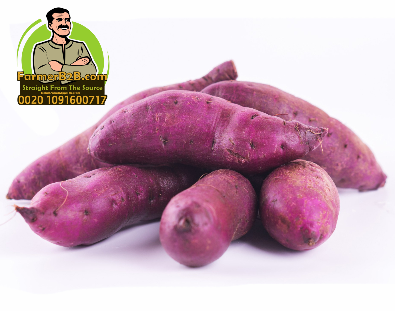 wholesale Beauregard fresh purple sweet potatoes new crop 2021/2022(SPECIAL PRICE)