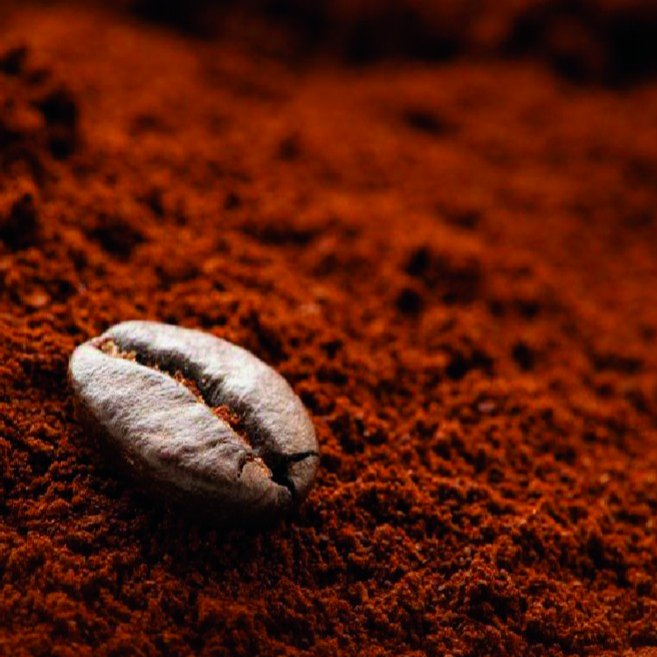 Высококачественные темные жареные кофейные зерна Robusta S16,S18 из вьетнамских кофейных зерен