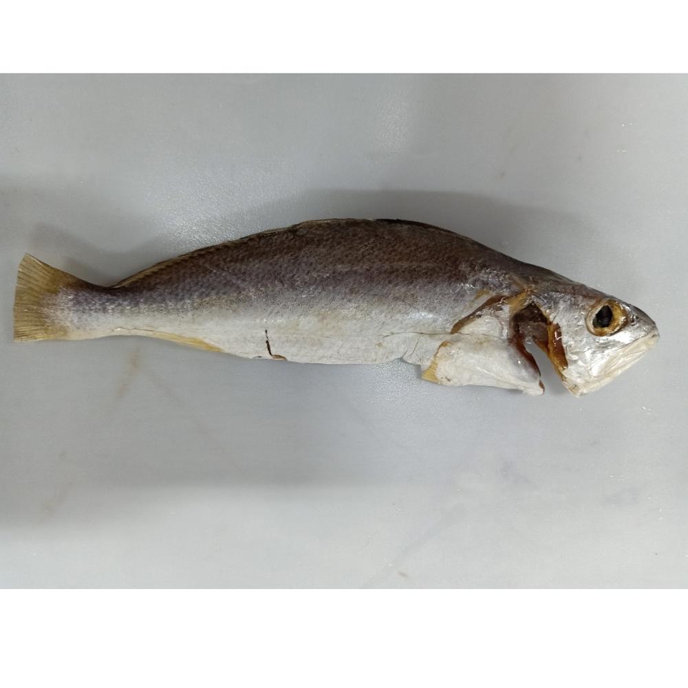 Semi - Dried Silver Croaker Fish