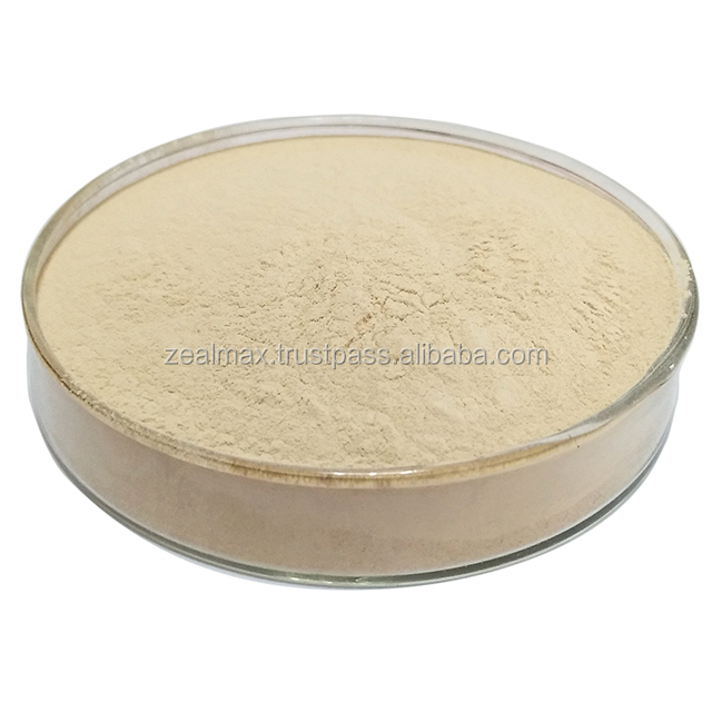 Bacillus Subtilis GMP Approved Best Quality Bacillus Subtilis Powder Indian Exporter - Zealmax Biopharma