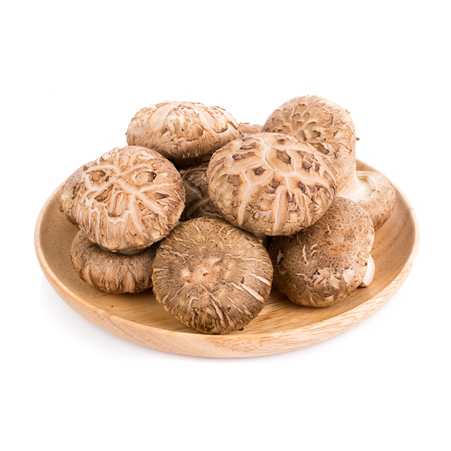 Оптовая продажа, порошок грибов Shiitake с натуральными ингредиентами высшего качества из Вьетнама