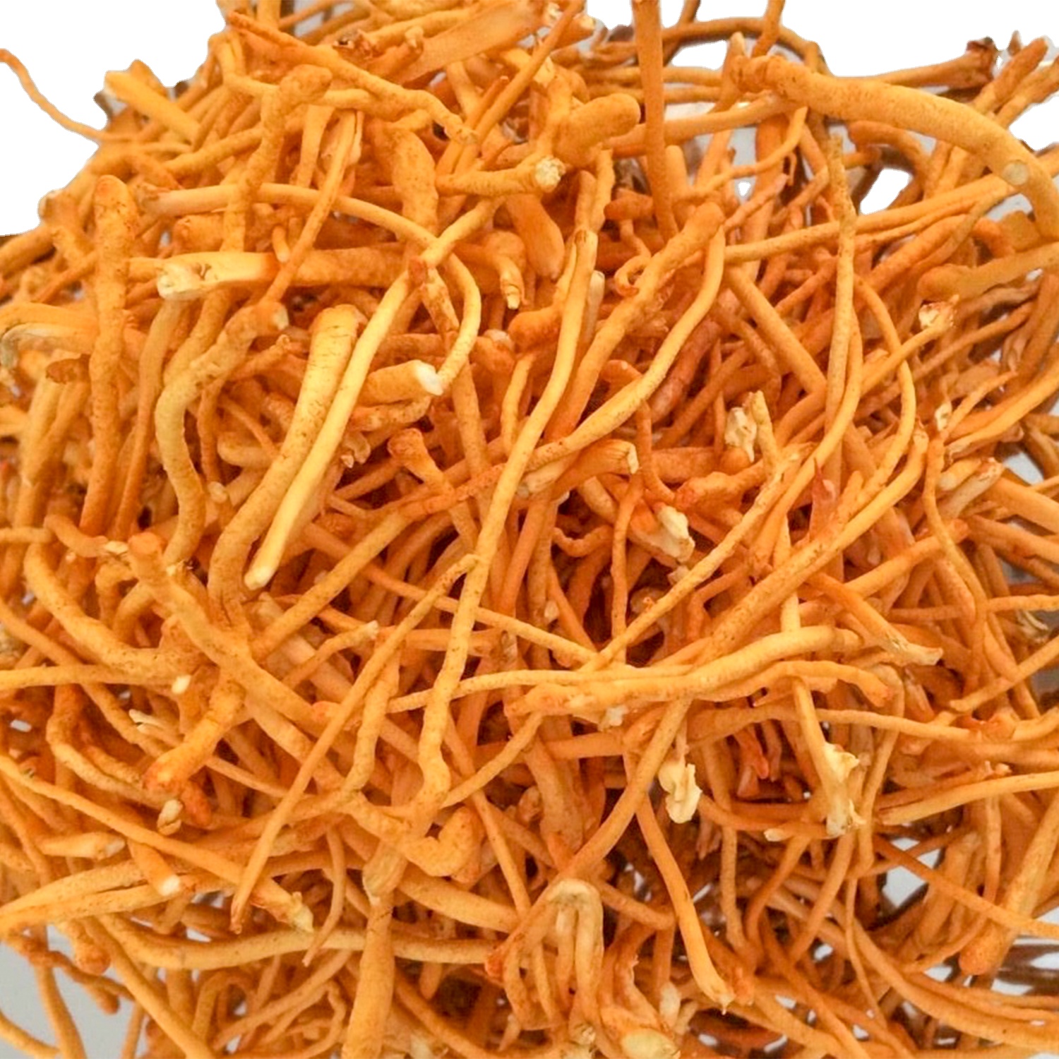 Cordyceps Mushroom Healthy Product 100% Natural Herbal High Quality Product Good For Health Providing Energy OEM Prival Label