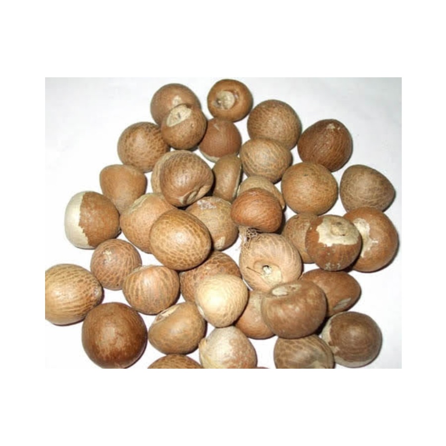 Лучшая цена Betel Nut из Вьетнама с высоким качеством (Ms. Lee: + 84987731263)