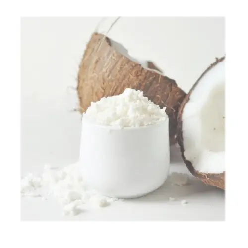 Coconut Milk Powder Suppliers India / Best Price Raw Natural Coconut milk powder supplier Instant Milk Powder