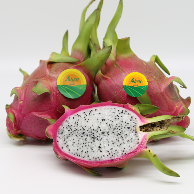 VIET NAM DRAGON FRUIT WITH BEST PRICE AND CHEAP