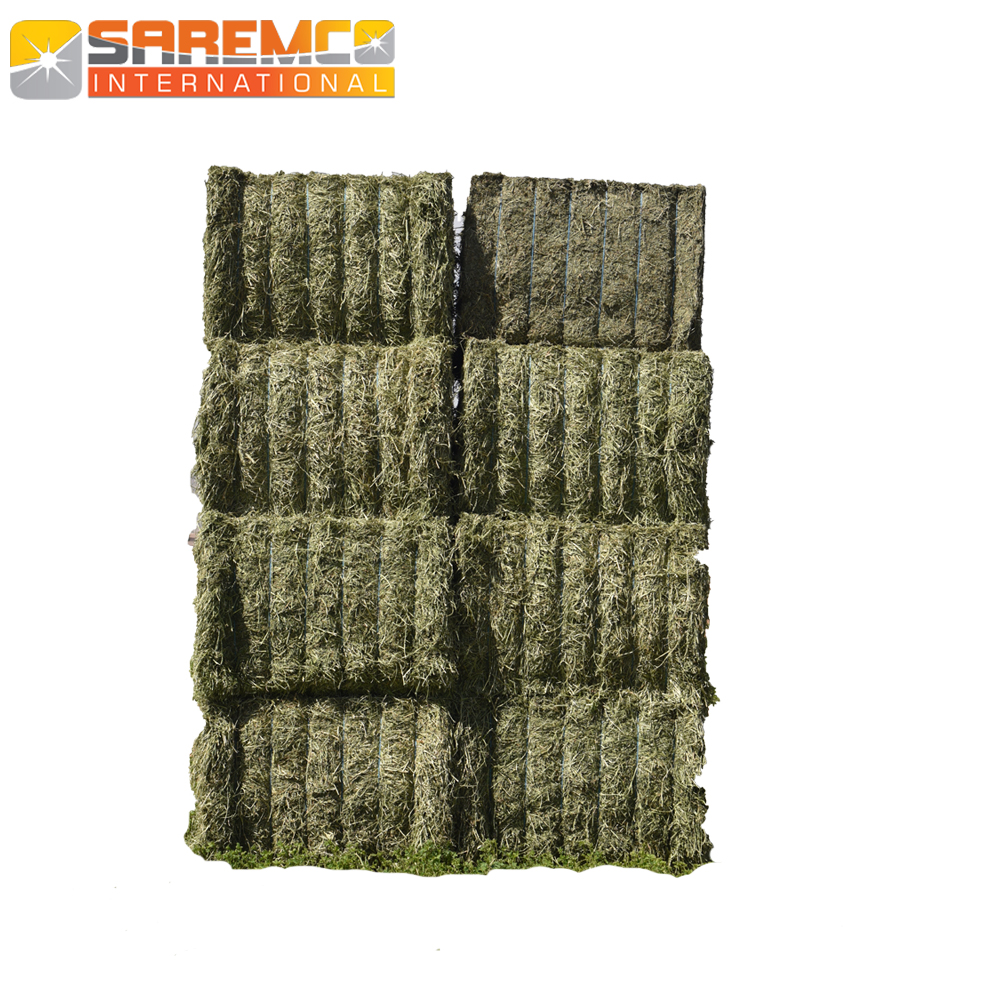 Rhodes grass hay bales for sale big pressing bales