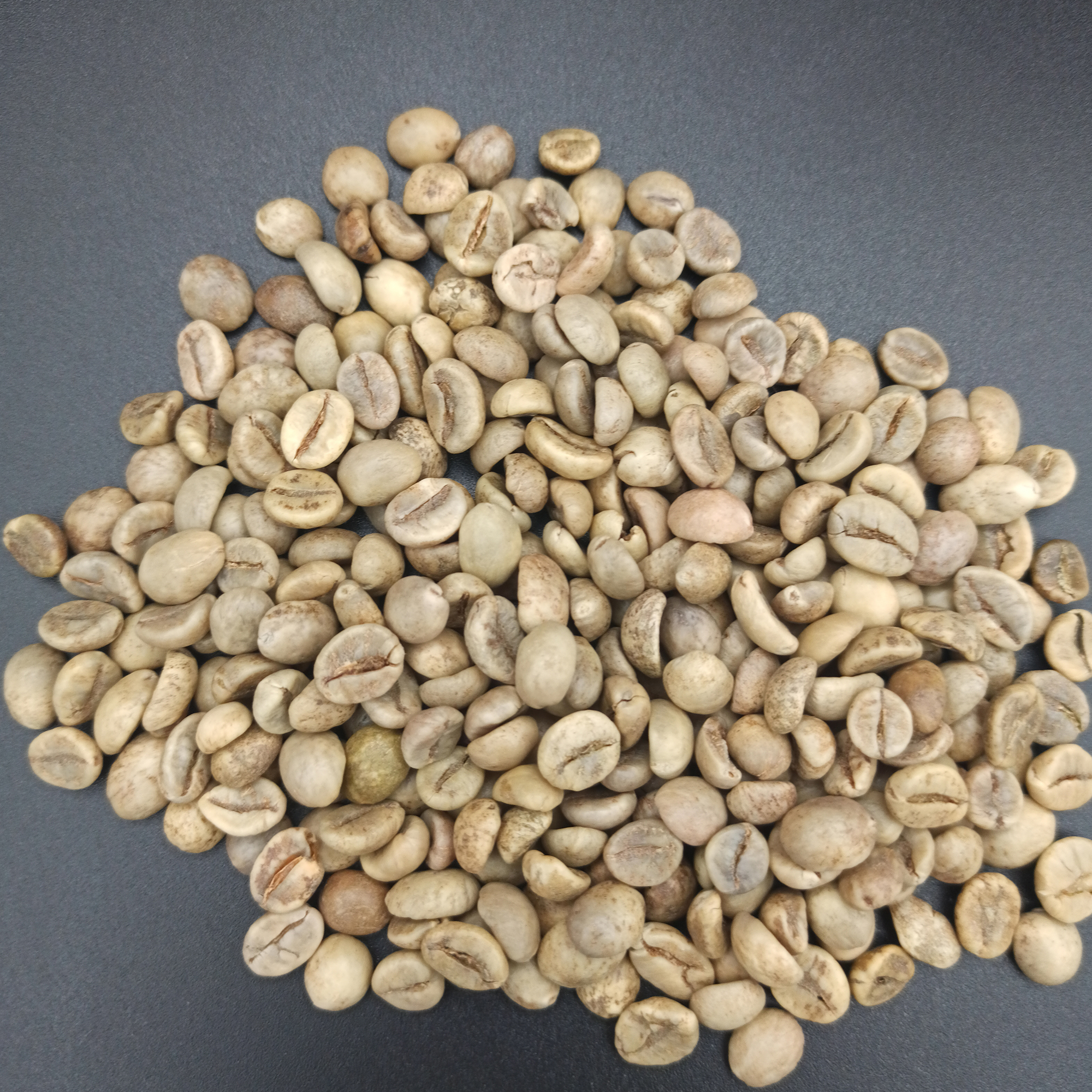 EthioCo ГмбХ (Ltd) - Vietnam Robusta Screen 17/18 Fair Coffee