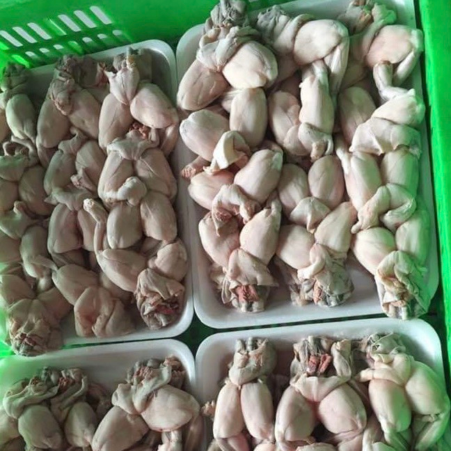 FROZEN FROG LEGS / FARM RAISED ORGANIC FROG LEGS WITH YOGA POSTURE STYLE/ NO CHEMICAL