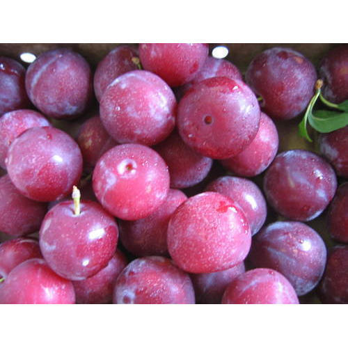 Хит продаж, сладкие вкусные сливы с покрытием, доступны в продаже