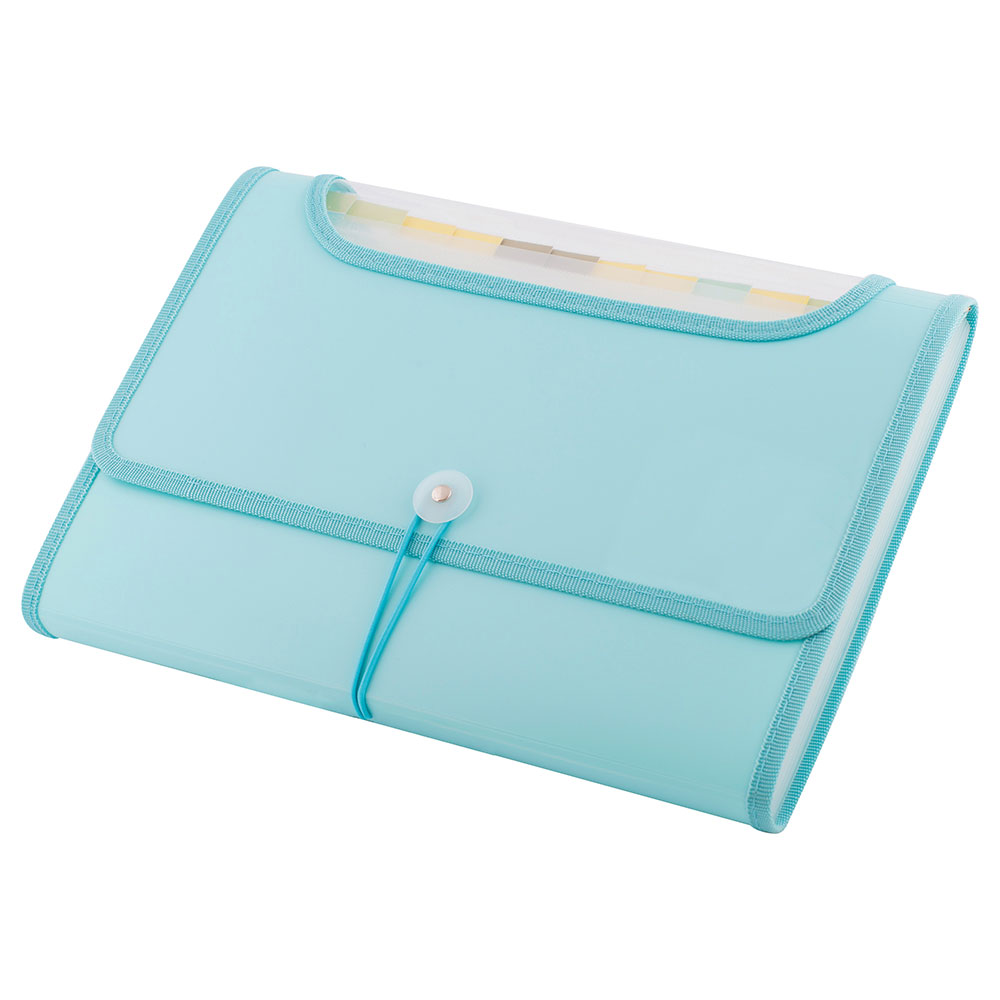 EXPANDING FILE BAG D.RECT 5590 A4 MINT 12-P Expanding Organizer File Folder, Letter Size - Mint