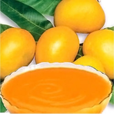 Natural Mango Pulp