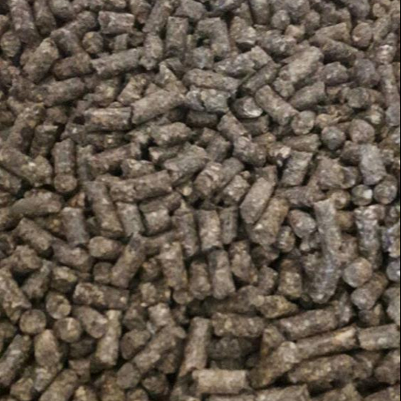Corn Silage Pellet With BEST quality from Viet Nam (Whatsapp,line: +84907631944).