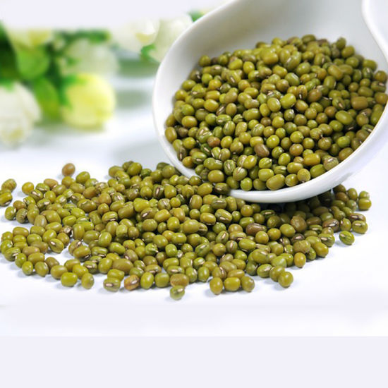 Очищенные зеленые бобы мунг, сплит/мунг dhal, новые бобы мунг из Китая, урожай 2021