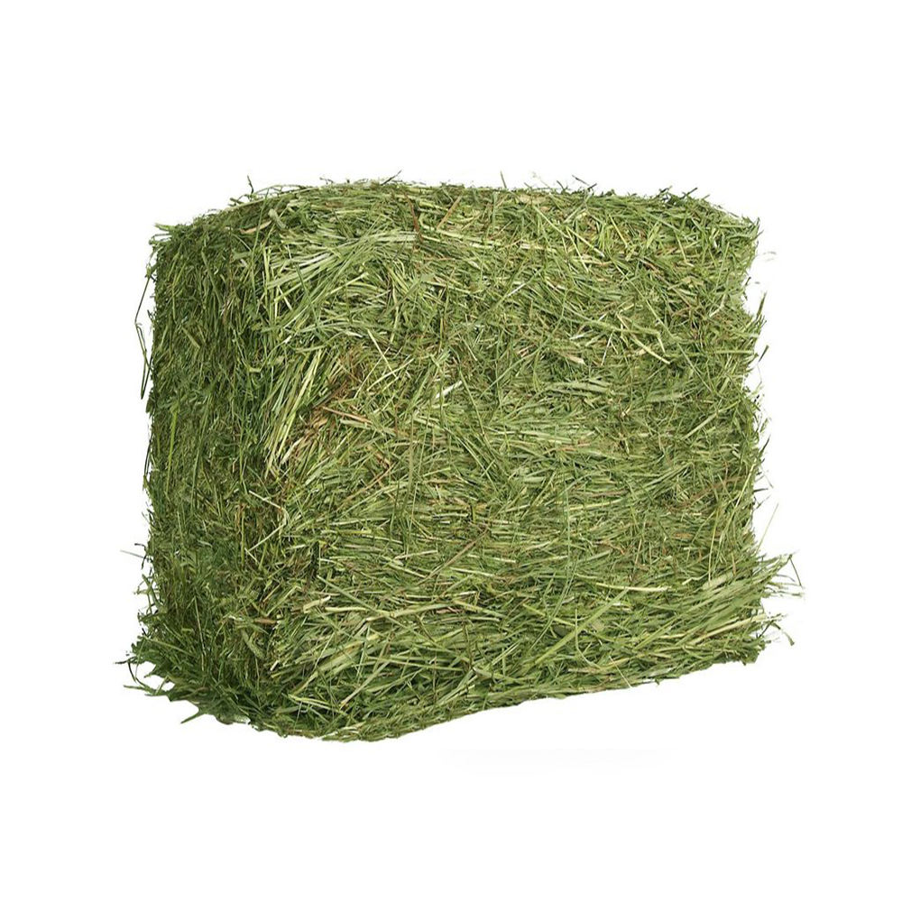 BEST GRADE ALFALFA HAY FOR SALE