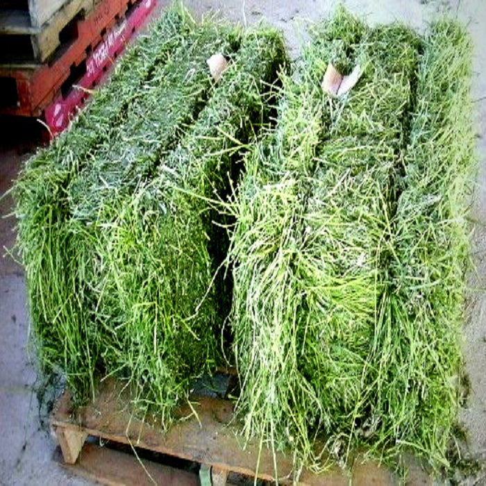 Quality Alfalfa Hay/Timothy Hay and Bermuda Hay