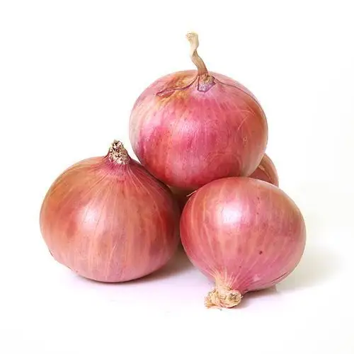 New Crop 2022 - Fresh Red Onion with High Quality and Competitive Price