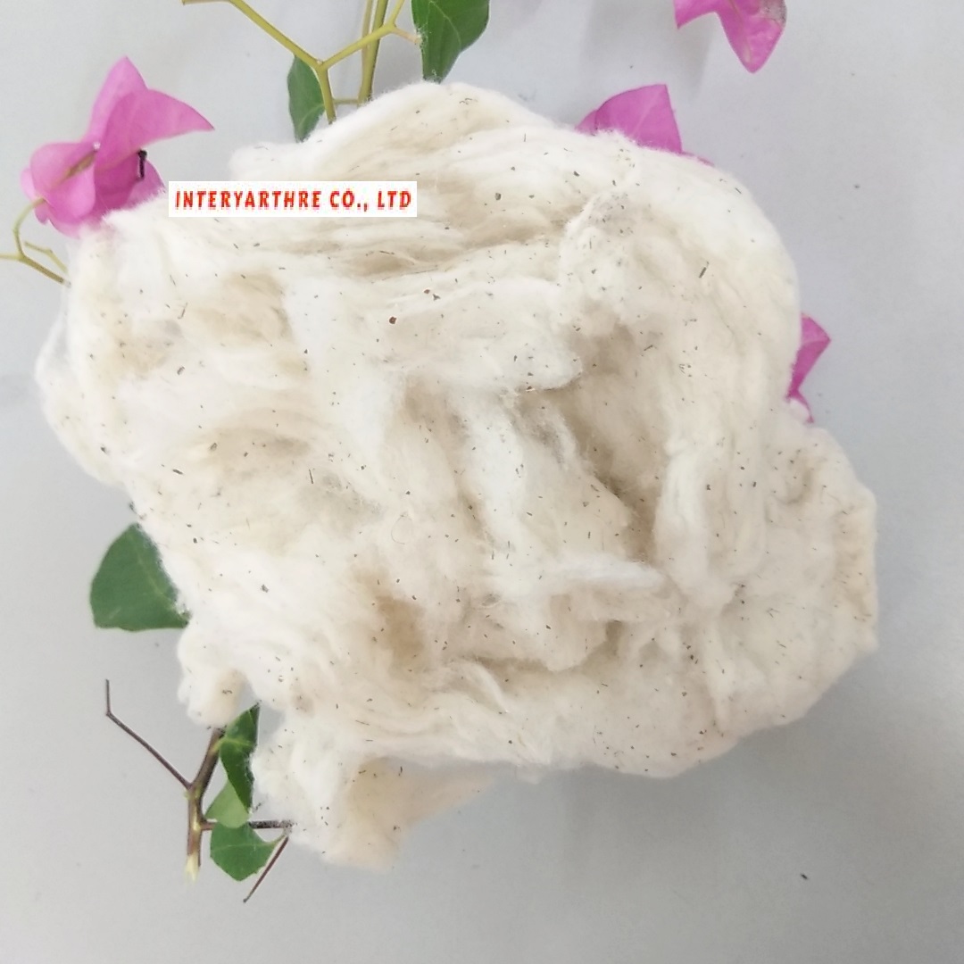 100 pct cotton vietnam comber noil - lickerin dropping - card fly fiber waste for spinning filling price today -_Ms. Azura