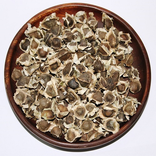 Травяные moringa oleifera семена продавцов