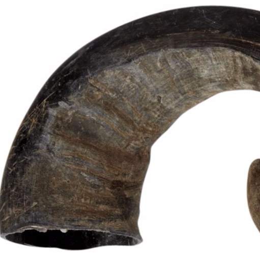 PET FOOD Customize size BUFFALO HORNS Factory Price for pet
