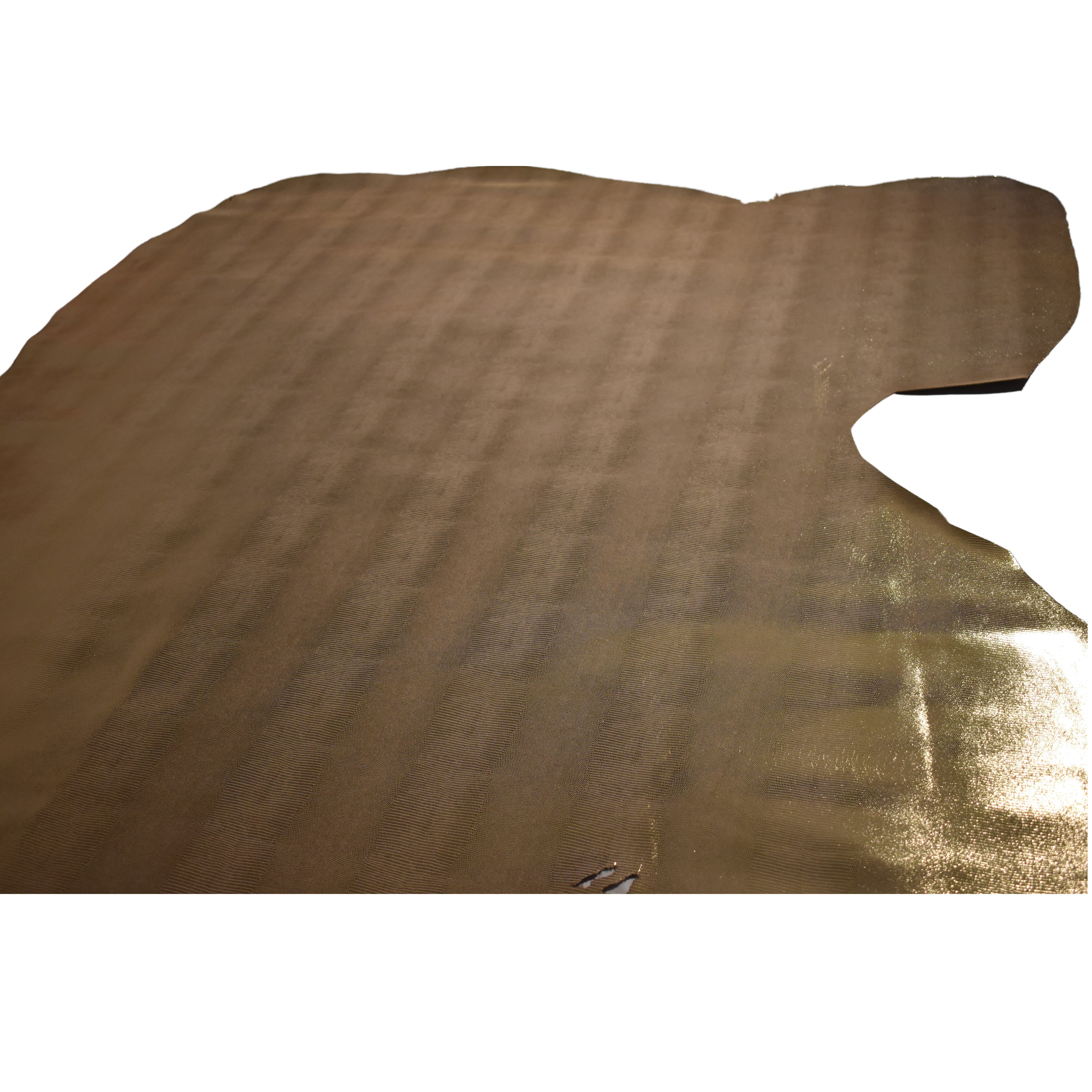 Made in Italy Genuine Leather for Cool Footwear and Leather Goods with Silver Reptile Pattern