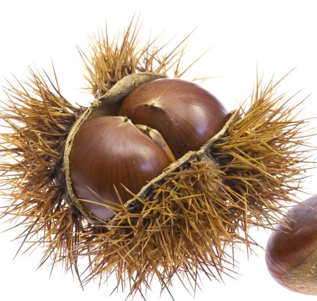 Wholesale Fresh Chestnut Raw Easy Peel Sweet Roasted Chestnuts