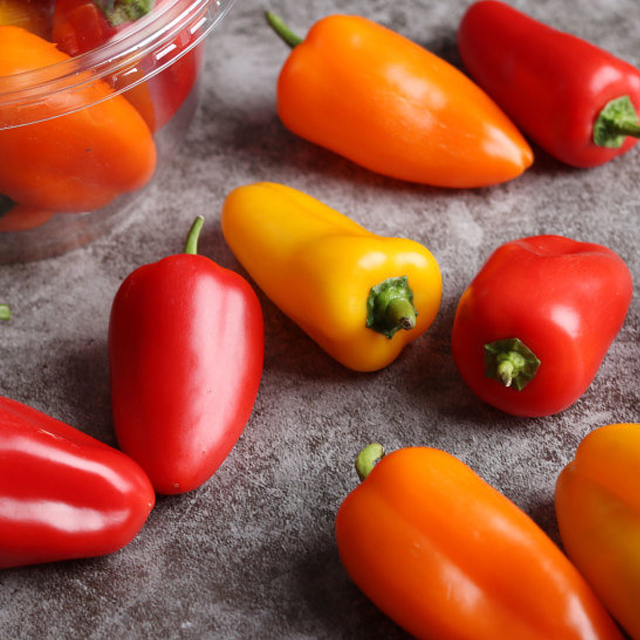 Small Mini Paprika Red Yellow Bell Pepper Sweet Juicy Taste Korea Capsicums Bell Pepper Made in Korea