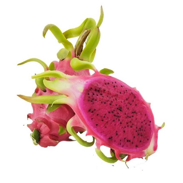 Sweet Tropical Fruit Grown in Binh Thuan Vietnam - 450 gram Red Dragon Fruit Ready For Export