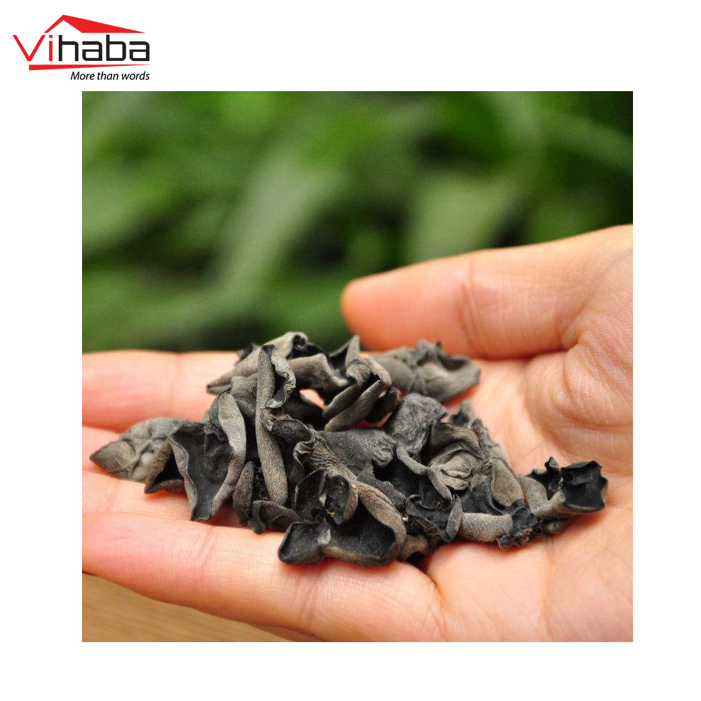 New Product 2020 Fresh Natural Agaric Edible Nutritional Supplement Mushroom Cultivation Organic Food Dried Ear Mushroom