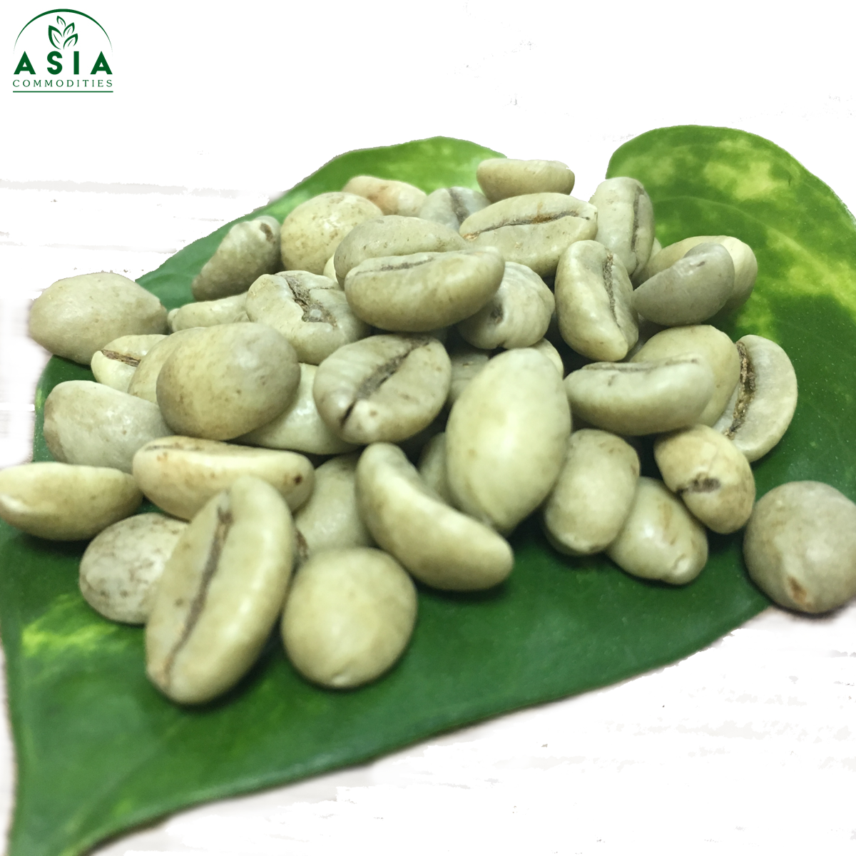 Vietnam Robusta screen 18 Wet Polished, green coffee beans, good price