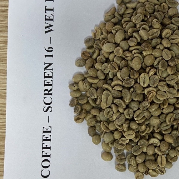 Самые продаваемые кофе-бобы robusta S16WP из Вьетнама, отлично 1