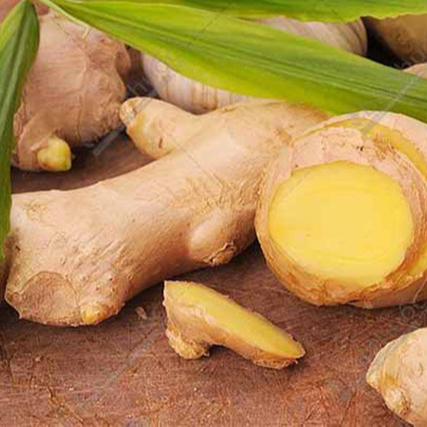2020 Wholesale organic fresh ginger for export